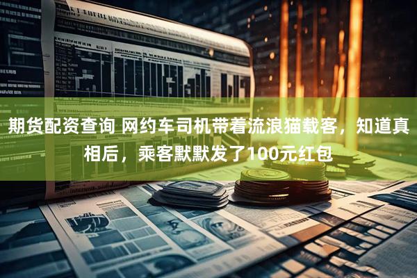 期货配资查询 网约车司机带着流浪猫载客，知道真相后，乘客默默发了100元红包